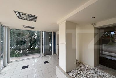 Spațiu comercial, de 270.00 mp, în Bogdăneștilor