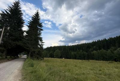 PARCELE DE VÂNZARE, pe malul râului BÂSCA, COMANDAU, COVASNA - 3