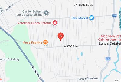 Apartament cu 4 camere decomandat, mobilat în Lunca Cetățuii