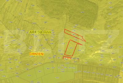 Teren agricol extravilan de 23000 mp, în Chinteni