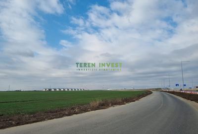 TEREN INDUSTRIAL 8000 MP – LA DN4, ACCES DIRECT! - 1