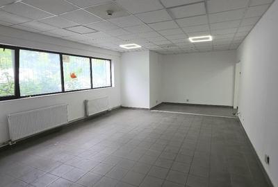 Theodor Pallady hala depozitare /productie 550  mp de inchiriat - 5