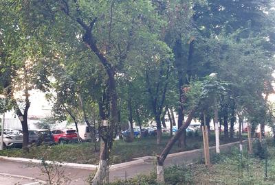 Vatra Luminoasa - Piata Iancului, apartament cu centrala proprie - 4