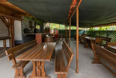 Mihail Kogălniceanu- Baza NATO  Restaurant.  Reducere de preț !!! - 8