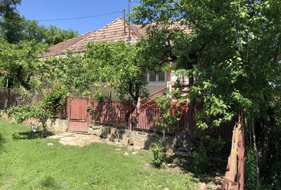 Casa 2 camere din cărămidă cu teren Riciu - 3