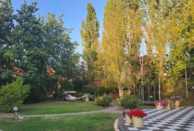 Vila individuala, teren 3000 mp, Iancu Nicolae - 32