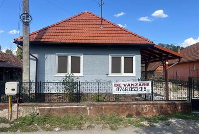 Casa renovata cu teren si anexe in Birtin - 14