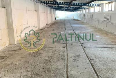Spațiu depozitare 700 mp în Cristian, Sibiu – 3 km de Aeroport - 4