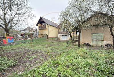 De vânzare 2 Case de vinificație cu Teren 4108 mp - Grădina Viilor - Carei - 3