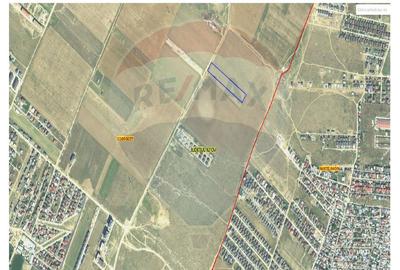 Teren intravilan 10000mp | Dobroești | Oportunitate de Investiție - 5