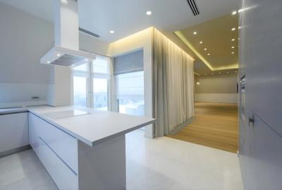 Iancu Nicolae: Penthouse in imobil exclusivist, langa padure! - 4