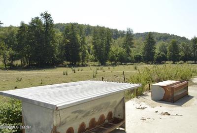 Bogati - Glimbocel, Ferma Zootehnica, Cladiri 1996 mp, Teren 4.89 ha - 29