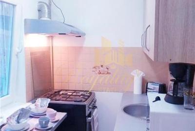 Apartament 1 camera, ETAJ 1- Zona Bucovina - 12