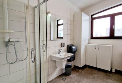 Proprietate de vanzare in vila | Cotroceni | 192 MP | Terasa 60 MP - 11