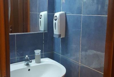 Spatiu birouri- Ion Mihalache- Ciuperca-Expozitiei - 12
