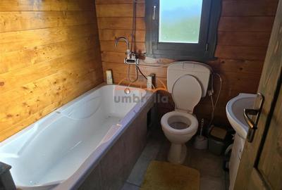 Teren si cabana de vanzare 1200m² in FINCIU - CALATELE - 11