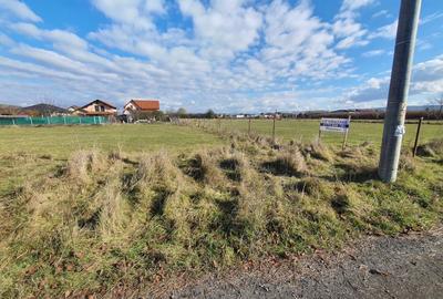 Teren intravilan 4.690mp.deschidere la 2 drumuri,zona Unirii - 6