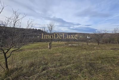 Teren intravilan, 6000mp, priveliste, comuna Baciu, zona Suceagu - 4