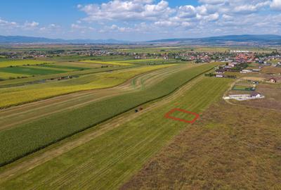 Teren intravilan, 590mp, Bod, lângă Brașov - 4