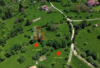 Loturi de teren 1.000 mp | Poarta – Bran | Vedere panoramică către Munții Bucegi - 5