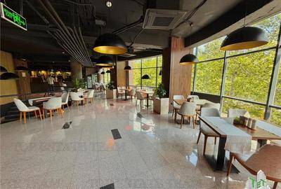 Restaurant + Terasa de inchiriat Sector 3 / Bucuresti - 11