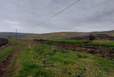 Teren agricol extravilan de 119500 mp, în Iris