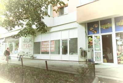 Inchiriere spatiu comercial Teiul Doamnei - 74mp - 9