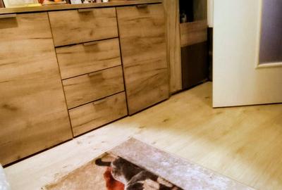 🏡 Apartament cu 2 camere de vânzare – Iris, strada Oașului - 3