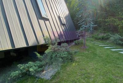 Cabane A frame + Teren 6000 mp |  Proprietate deosebita, NOU - 11