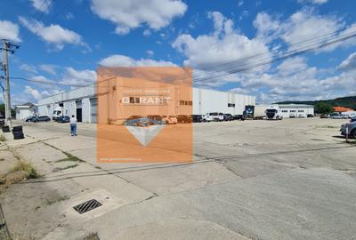 Hala Stefanesti, logistica, productie, S=590 mp, - 2
