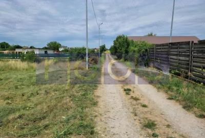 Teren Construcții de 972 mp, în Tânganu