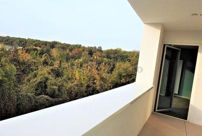 Iancu Nicolae-British School duplex  - 3 dormitoare - 21
