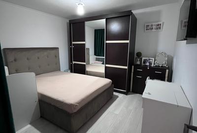 Casa de vanzare, zona palas, 195mp teren, 4 camere, 2 bai, 2 bucatarii, renovata - 24