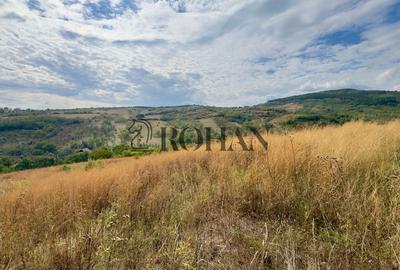 Teren 4.000 mp | Front Generos 47 ml | Utilități | La Asfalt | Cricău - 7