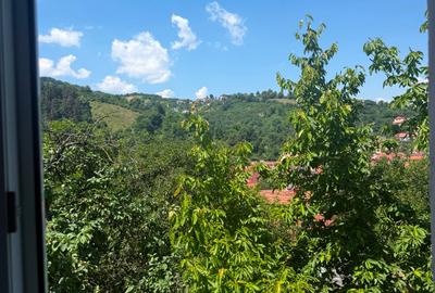 Apartament in casa de inchiriat | Schei - 3