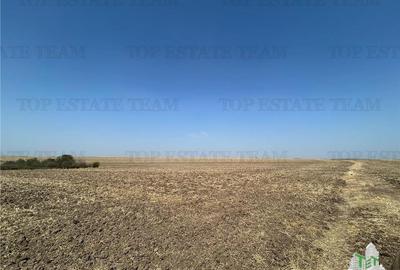 Simnicu de sus_langa Craiova/ Teren extravilan, arabil/ Suprafata de 4200mp - 1