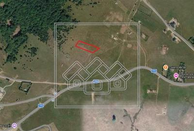 Teren agricol extravilan de 3825 mp, în Păltiniș