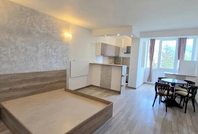 Garsonieră de închiriat – Bd. Victoriei, lângă Piața Dacia, Zona Garii - 2