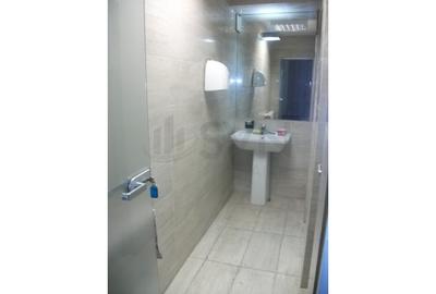 REC0001741 Spatiu Comercial Piata Victoriei - Titulescu - 17