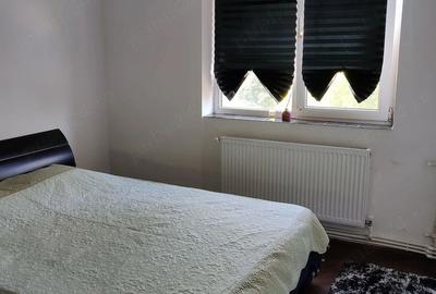 Abator, 3 camere, semi,58 mp, pret 100.000 euro - 4