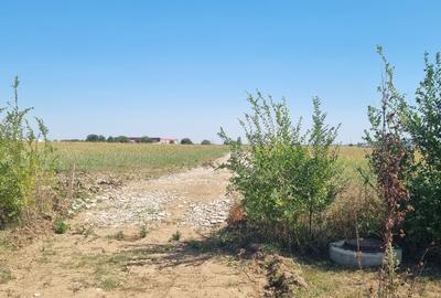 Teren Construcții intravilan de 1398 mp, în Balotești