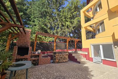 Inchiriere apartament Snagov, teren, ponton, lac - 6