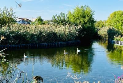 Casă nouă 2024 | 5 camere | Teren 400 mp | Chitila | Lângă lac și parc - 11