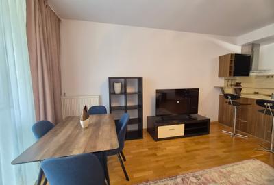 Inchiriere Apartament 2 Camere Iancu Nicolae - 7
