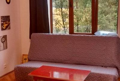Zona Centru - Rond Cosbuc apartament 2 camere mobilat - 2