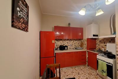 Apartament spatios cu 1 camera-complet renovat, mobilat si utilat-zona Traian - 10