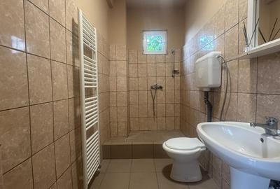 Casa de inchiriat 15 locuri cazare angajati, muncitori Micalaca Arad - 12