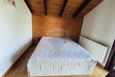 Casa de vacanta de vânzare Cornetu -Mihailesti - 15