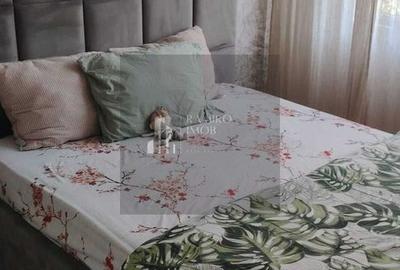 Apartament cu 2 camere decomandat, mobilat în Drumul Găzarului