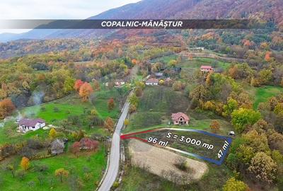 Teren Construcții intravilan de 3000 mp, în Copalnic-Mănăștur